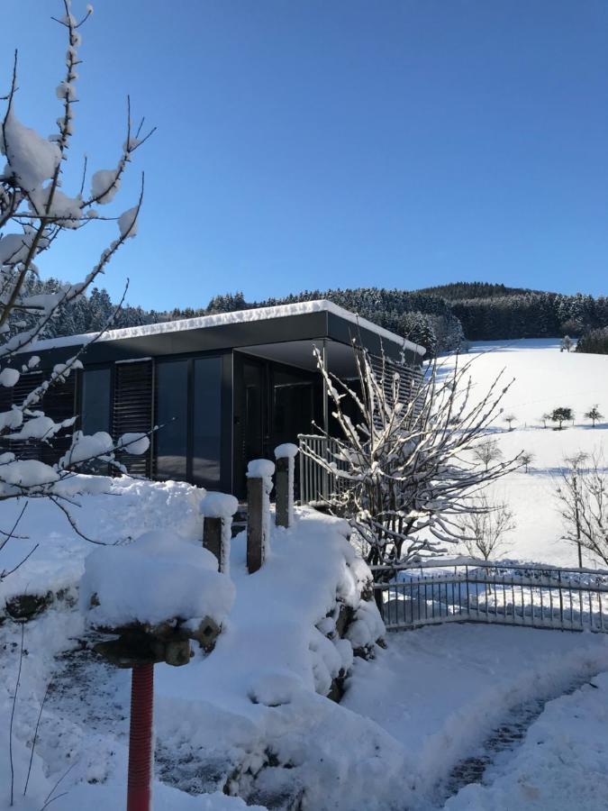 S-Suite Das Design-Ferienhaus Im Schwarzwald Biberach  Zewnętrze zdjęcie