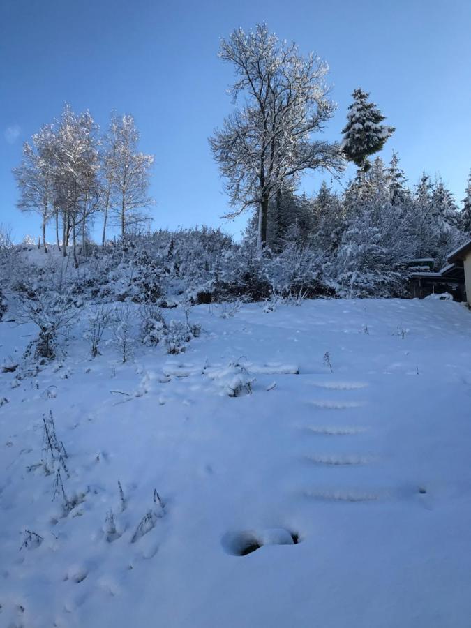 S-Suite Das Design-Ferienhaus Im Schwarzwald Biberach  Zewnętrze zdjęcie